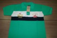 Camisa Hollister Polo HCO 1922